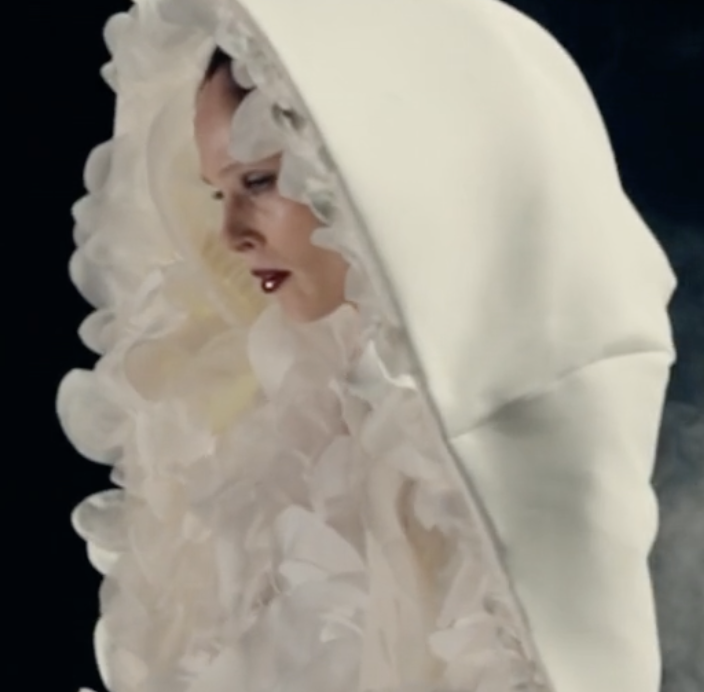 Coco Rocha - Tiktok